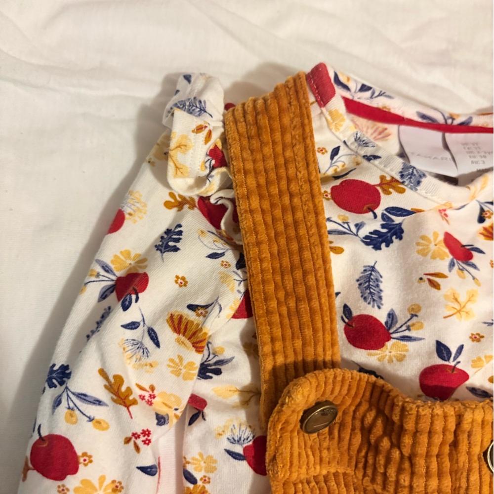 Tahari Apple Embroidered Corduroy Jumper Set size 3T - Picture 6 of 7